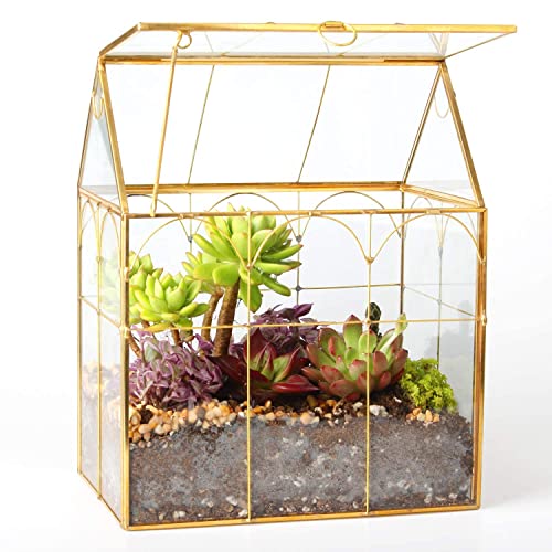 Glass Geometric Plant Terrarium,Succulent & Air Planter for Home Garden Office Decoration (Gold House) - color: Gold House