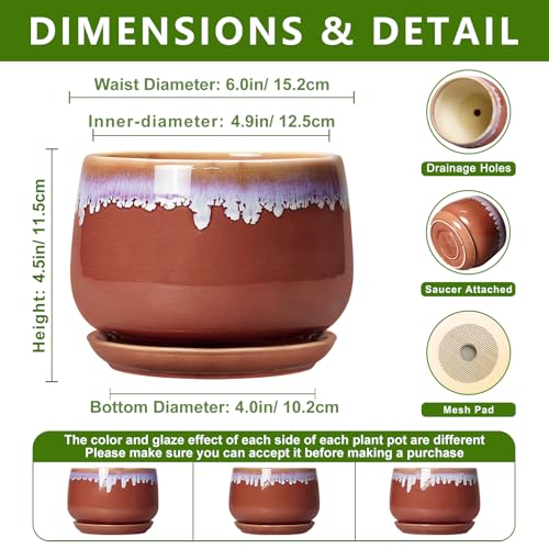 Ceramic Plant Pot - 6 Inch Planters for Indoor Plants, Round Ceramic Planter with Drainage Hole and Saucer, Decorative Small Plant Pots, Room Bookshelf Decor, Red-Purple - size: 6 Inch, style: Red-purple