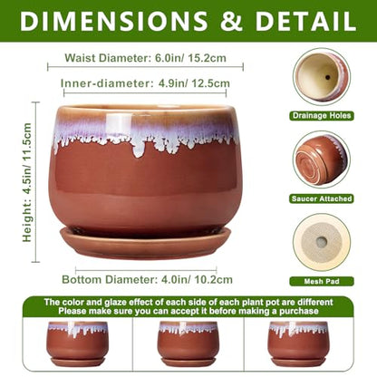 Ceramic Plant Pot - 6 Inch Planters for Indoor Plants, Round Ceramic Planter with Drainage Hole and Saucer, Decorative Small Plant Pots, Room Bookshelf Decor, Red-Purple - size: 6 Inch, style: Red-purple