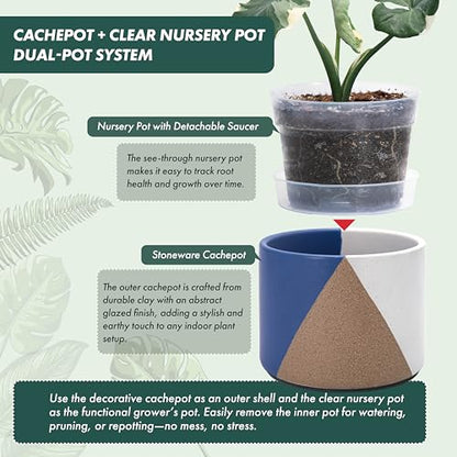 D'vine Dev 2-Pack Cachepot with Clear Pot, 6.5"low, Cobalt Canyon, 93-V-D-3 | Dual-Pot System, Root Visibility, Bottom Watering Support, Enhanced Drainage, Artistic Stoneware Design, Easy Plant Care - color: Cobalt Canyon, size: 6.5” Cachepot + 6“ Clear G