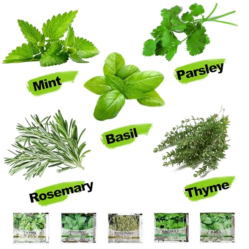 Meekear 5 Herb Indoor Starter Kit, Complete Planting Set for Kitchen Herb Garden DIY & Gift
