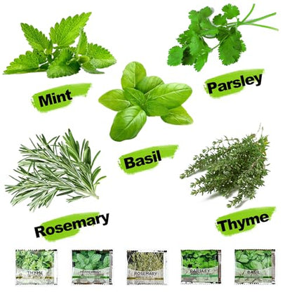 Meekear 5 Herb Indoor Starter Kit, Complete Planting Set for Kitchen Herb Garden DIY & Gift