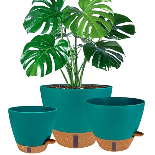 8/10/12 Inch Self Watering Pots for Indoor/Outdoor Plants | Large Plastic Planter with Drainage Holes, Water Level Indicator & Deep Reservoir, Modern Decorative Flower Pots (Turquoise) - color: Turquoise, size: 8/10/12 Inch
