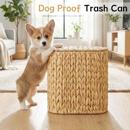 iEGrow 3 Gallon Wicker Trash Can, Bathroom Trash Can with Lid, Narrow Natural Water Hyacinth Waste Basket with Removable Liner, Boho Garbage Can for Bedroom, Office, Small Spaces Living Room, Toilet - color: Brown, size: Oval