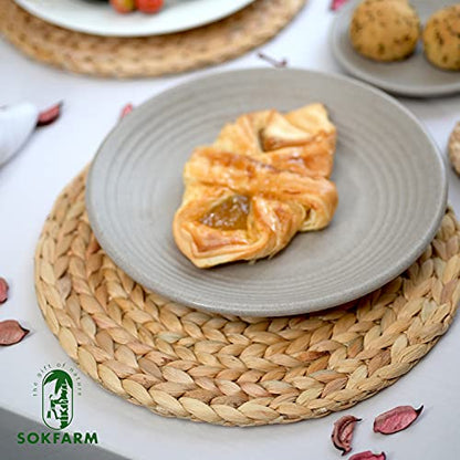 Woven Placemats Set of 10, Table Mats Set of 10, Water Hyacinth Round Placemats for Round Table, Chargers for Dinner Plates, Wicker Chargers for Dinner Plates, Woven Placemat, Place Mats 11.8 in - size: Placemats 11.8in Set 10