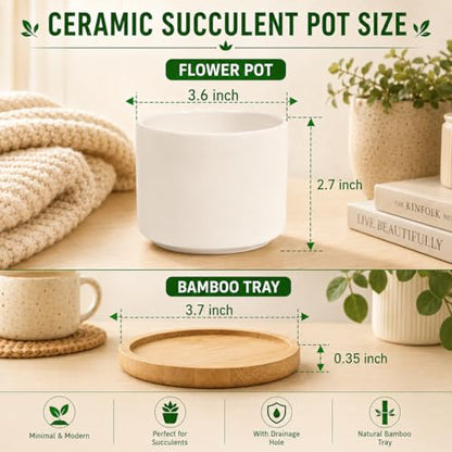 ZOUTOG 12 Pack Ceramic Succulent Pots,3.6 Inch Plant Pots,Succulent Planters with Drainage Hole & Bamboo Tray for Indoor Plants,White Small Flower Planters for Home,Office,Desk - size: 12 pack
