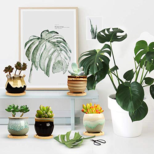 2.1 Inch Ceramic Small Succulent Pot,Plant Pots,Mini Flower Pots | Ceramic Succulent Pots with Drainage,Small Planter for Mini Plant Flowing Glaze Base Serial Set with Holes for Indoor,Outdoor - size: 2.3inch-6pack