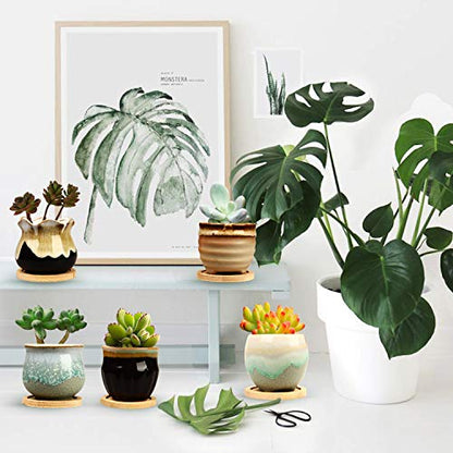 2.1 Inch Ceramic Small Succulent Pot,Plant Pots,Mini Flower Pots | Ceramic Succulent Pots with Drainage,Small Planter for Mini Plant Flowing Glaze Base Serial Set with Holes for Indoor,Outdoor - size: 2.3inch-6pack
