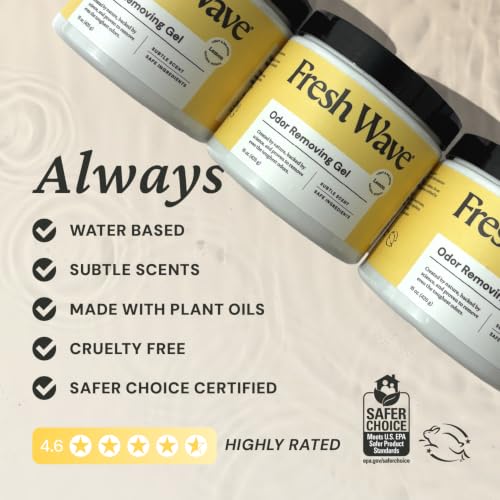 Fresh Wave Lemon Odor Eliminator Gel 15 oz - Air Freshener for Home | Lasts 30-60 days. Plant-based odor absorber. No perfumes or harsh chemicals. Bathroom & closet deoderizer. Refills available. - size: 15 Fl Oz (Pack of 1)