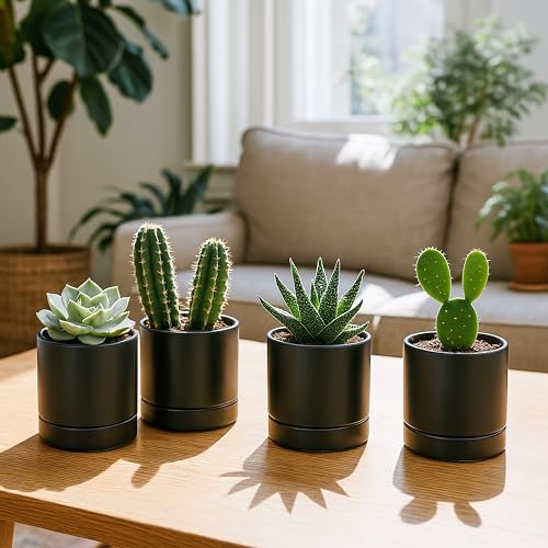 D'vine Dev 4-Pack Ceramic Pots with Saucers, Black, 4.7 in, 94-X-B-2 | Glazed Ceramic, Drainage Hole and Saucer, Sleek Cylinder Shape, High Temperature Fired, Ideal for Small Houseplants - color: Black, size: 4.7 Inch