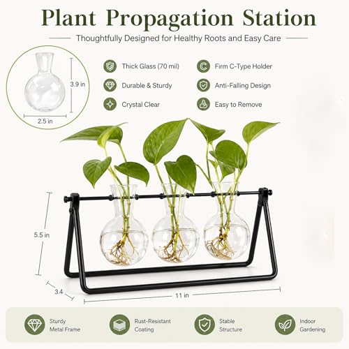 Plant Terrarium with Metal Stand, 3 Bulb Glass Vase, Minimalist Plant Stand | Propagation Stations For Hydroponic Plant, Tabletop Indoor Room Office Home Desk Decor Gardening Gifts For Women, Plant Lover