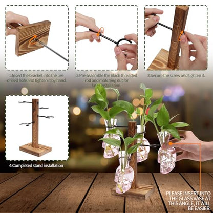 Plants Propagation Stations Skull Glass Propagation Birthday Gift for Women | Garden Plant Lovers - 4 Skull - color: Pink
