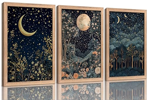 Framed Dark Moon and Forest Wall Art, Gothic Cottagecore Botanical Floral Painting Canvas Prints, Moody Night Stars Landscape Wall Decor, Dark Academia Poster Artwork for Living Room Bedroom Office - color: Dark Starry Sky, size: 16"Lx12"W