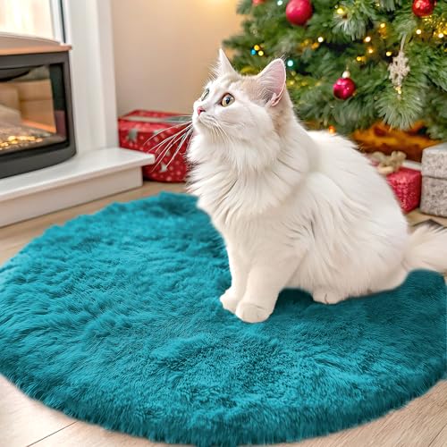 OLANLY Teal Round Rugs for Bedroom - Machine Washable, 2 ft Circle Area Rugs for Living Room, Soft and Fluffy Shaggy Carpet for Teen Girl and Boys, Nursery Rooms, Dorms, Home Decor Aesthetic - color: Teal, size: 2 Ft Round