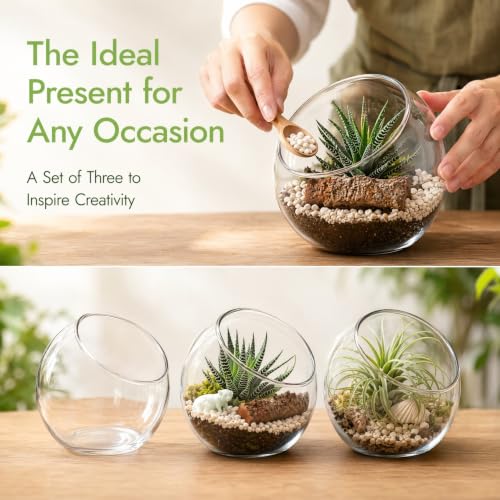 3 Pcs Glass Terrarium Air Plant Planters - Slant Cut for Home Office Decor, Succulent & Air Plant Containers, Transparent Glass Vases for DIY Gifts, Weddings, Housewarming