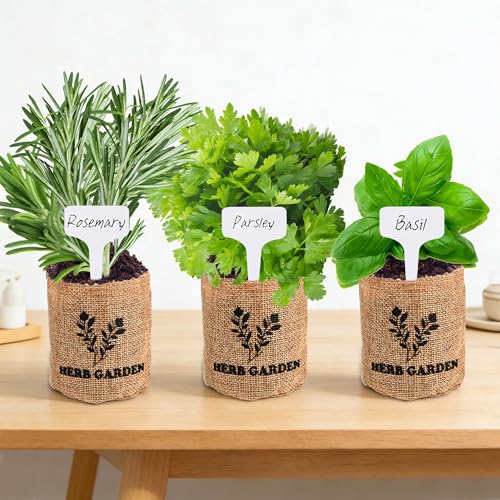 Meekear 5 Herb Indoor Starter Kit, Complete Planting Set for Kitchen Herb Garden DIY & Gift