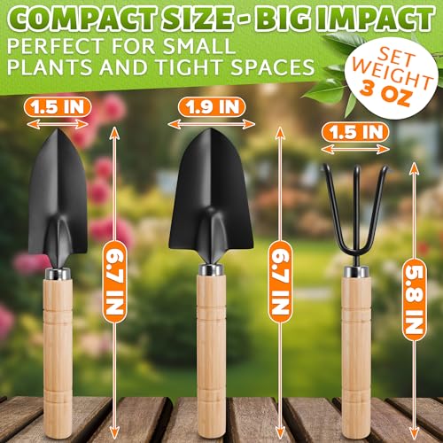 Mini Garden Tools for House Plants, Mini Shovel, Trowel & Hand Rake | Small Garden Tools for Potted Plants, Bonsai and Succulents; Rust-Resistant Heads; Wood Handles; Repotting and Soil Loosening