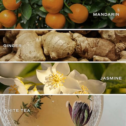 Sweet Water Decor Calm and Comfort Reed Diffuser Set | Mandarin, Ginger, Jasmine, White Tea Spa Scented Diffusers | Air Freshener | Housewarming Gift | Aromatic Stress Relief - style: Calm & Comfort