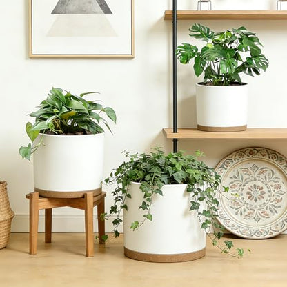 Large Plant Pots Set of 3 – 8", 9", 10" Indoor Flower Pots with Drainage Holes and Saucers, Big Planters for Monstera, Fiddle Leaf Fig, Snake Plant – 5 Colors - color: White With Brown Base