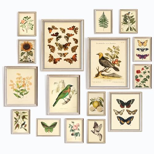 97 Decor Vintage Botanical Wall Art, 16 Plant Posters, 11x14 Unframed | Floral, butterfly and bird prints, 2 pcs 11x14, 3 pcs 8x10, 11 pcs 5x7, cardstock, bedroom, living room, office - size: UNFRAMED