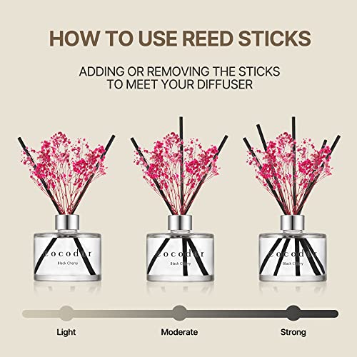 COCODOR Preserved Real Flower Reed Diffuser/April Breeze / 6.7oz(200ml) / 2 Pack/Reed Diffuser Set, Oil Diffuser & Reed Diffuser Sticks, Home Decor & Office Decor, Fragrance and Gifts - size: Real Flower/6.7Ounce/2Pack