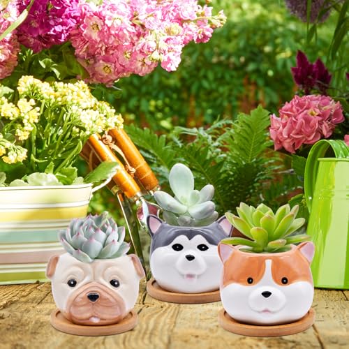 6 Pack Cute Dog Succulent Pots with Drainage – Ceramic Puppy Planters for Small Plants & Cactus, Animal Shaped Mini Flower Pots, Desk & Home Décor, Gift for Dog Lovers, Office, Balcony, Garden - style: Dog