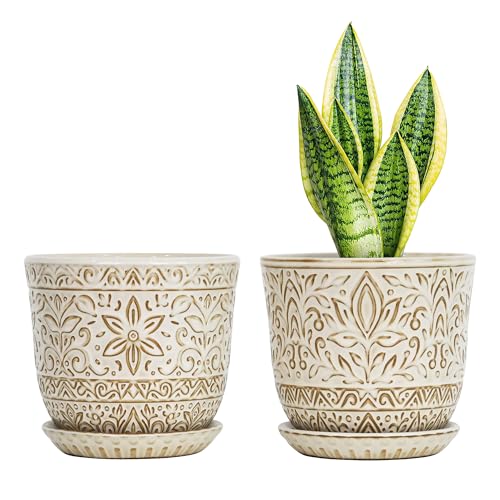 Gepege Ceramic Plant Pots, 6 Inch Indoor Planters with Drainage & Saucers | Ceramic pots for plants with drainage holes, ceramic saucers and mesh pads, ideal for flowers, herbs and succulents, set of 2 - color: White-a, size: 6 Inch - Set of 2