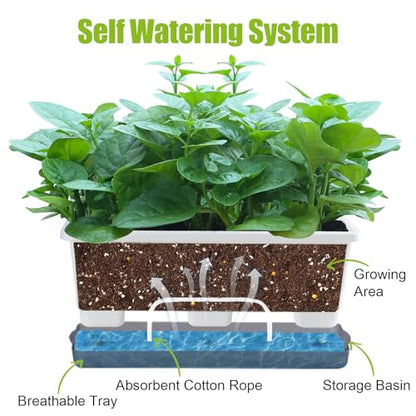 Window Box Planter 8 Pcs, 17 Inches Rectangle Flower Pots with Drainage Holes & Trays, Vegetable Planters for Windowsill Patio Garden Balcony Home Indoor Outdoor (White, 16 * 7 * 6 inch) - color: White