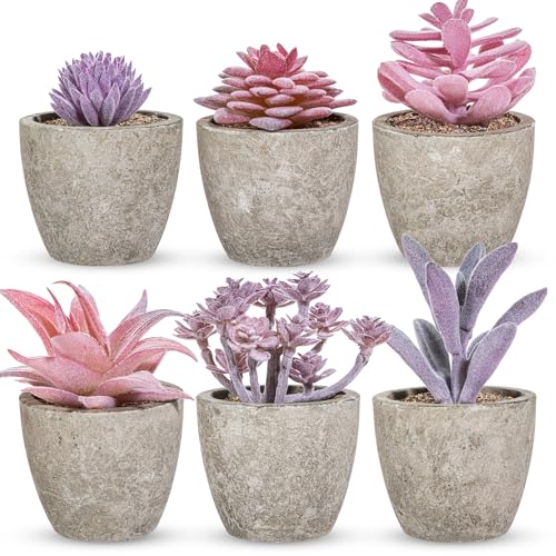 Set of 6 Artificial Succulents Potted - Realistic Mini Fake Cactus Plants in Paper Pulp Pots, 2-4'' Mixed Sizes for Farmhouse Shelf, Bathroom, Coatrack Shelf, Bedroom Indoor(Elegant Style) - style: Elegant Style
