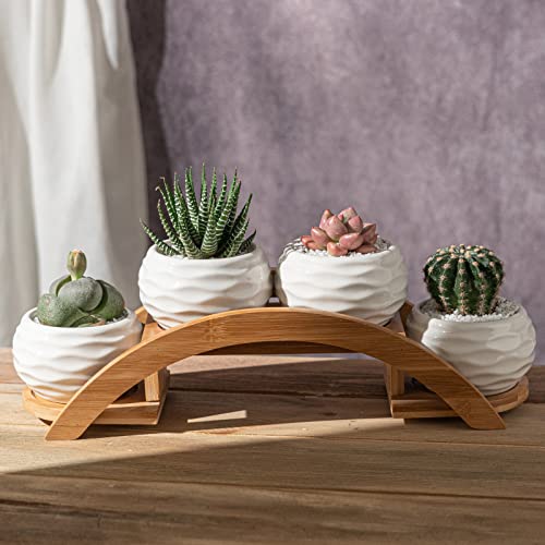 E-liu Eliu Cute Small Ceramic Succulent Pots and Stand Set, Pack of 4 | White Succulent Planter Pot with Drainage Fits Well In Windowsills, Office Indoor Decoration, Plants Not Included