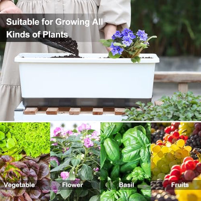 Window Box Planter 8 Pcs, 17 Inches Rectangle Flower Pots with Drainage Holes & Trays, Vegetable Planters for Windowsill Patio Garden Balcony Home Indoor Outdoor (White, 16 * 7 * 6 inch) - color: White