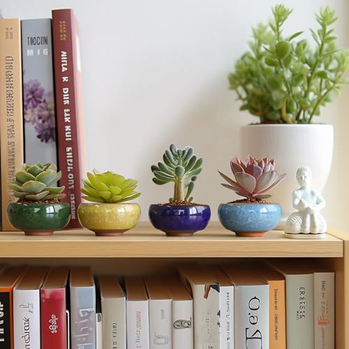 T4U 2.5 Inch Small Ceramic Succulent Planter Pot with Drainage Hole Set of 6, Ice Crack Glaze Plant Container for Cactus, Gardening Plant Gifts for Women Mom Aunt Home Office Decor | Cactus planters set, indoor herb garden, bonsai tree starter, tabletop c