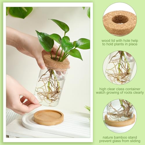 Layhit 4 Pcs Plants Propagation Stations vases Glass Planters with Wooden Lid and Bamboo Stand for Hydroponic Plants Gardening Gifts for Women Mom Home Office Tabletop Decoration(Funny Style) - style: Funny Style