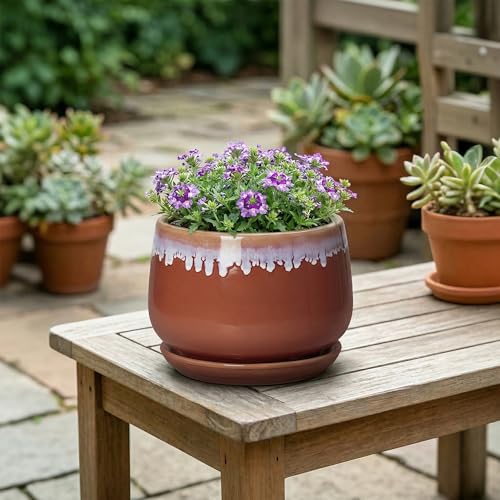 Ceramic Plant Pot - 6 Inch Planters for Indoor Plants, Round Ceramic Planter with Drainage Hole and Saucer, Decorative Small Plant Pots, Room Bookshelf Decor, Red-Purple - size: 6 Inch, style: Red-purple