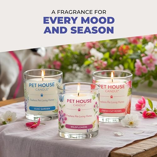 Pet House Candles, Natural Soy-Based, Clean Burning Pet Friendly Candles, 60 Hour Burn Time - Wild Blueberries, 9 oz, 2 Pack - color: Wild Blueberries, size: Pack of 2