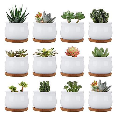Succluent Pots ，Small Flower Pots Planter Pots with Drinage,Ceramic Flowers Pots with Bamboo Tray for Cactus(12 Pack | Ceramic Flowers Pots with Bamboo Tray for Cactus,Planter Pots for Home,Kitchen