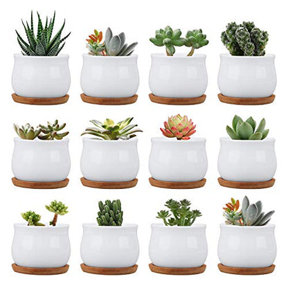 Succluent Pots ，Small Flower Pots Planter Pots with Drinage,Ceramic Flowers Pots with Bamboo Tray for Cactus(12 Pack | Ceramic Flowers Pots with Bamboo Tray for Cactus,Planter Pots for Home,Kitchen