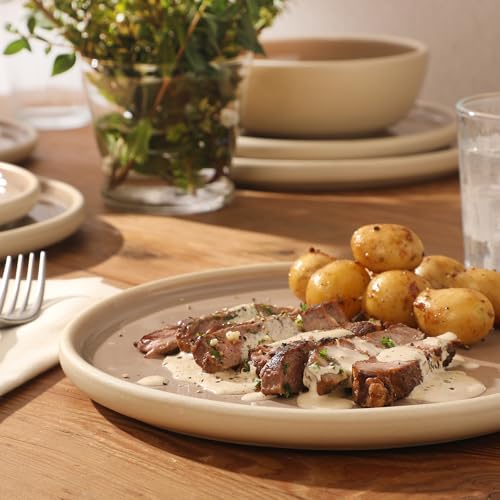 Gibson Elite - Made in Portugal - Port Gaia 12 Piece (Service for 4) Plates and Bowls Reactive Glaze Dishes Stoneware Ceramic Dinnerware Set - Taupe - color: Taupe (12pc Dinnerware Set)