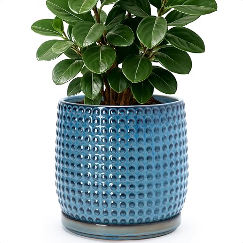 D'vine Dev Beaded Ceramic Pot with Saucer, 8 in, Ocean Teal, 27-C-Q-8 | Embossed Dot Texture, Smooth Glazed Finish, Timeless Vintage Charm, Drainage Holes, Stylish Accent for Modern Home Décor - color: Ocean Teal, size: 8.8 Inch