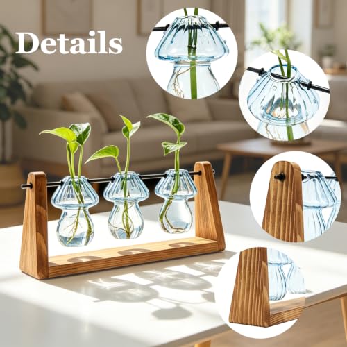 Hyindoor Propagation Stations with Wooden Stand & 3 Glass Mushroom Vases, Plant Terrarium Mushroom Planter for Hydroponics Home Garden Ofiice Tabletop Decor, Propagation vases Gifts for Women Mom