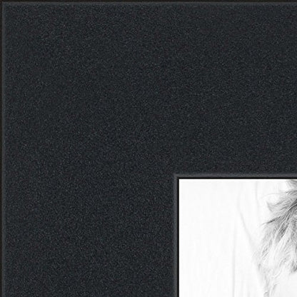 ArtToFrames Collage Photo Frame Double Mat with 12-3.25x4.75 Openings with Satin Black Frame and Paloma mat. - color: Paloma, size: 12 - 3.25x4.75