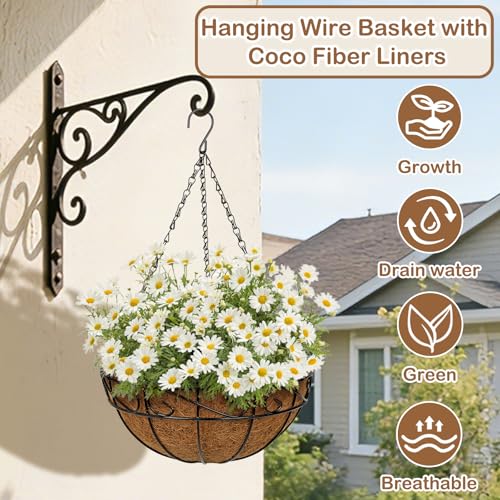 2 Pack 12 inch Metal Hanging Baskets for Plants, Round Metal Wire Hanging Basket Planter with Coco Fiber Liners Chain for Garden Home Porch Patio, Flower Border - size: 12" x 2 Pack, style: Flower Border