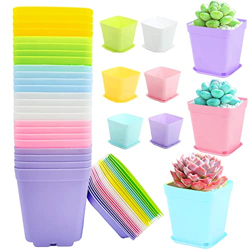 24Pack 3 Inch Plastic Plant Pots,Square Seedling Nursery Pots Succulent Flower Planter Container with Saucers for Garden,Room,Office,Balcony Decor,Multicolor