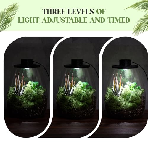 Glass Plant Terrarium Kit with LED Grow Light, Desk Terrarium for Venus Fly Trap, Succulents, Moss & Miniature Garden, Borosilicate Glass Desktop Planter for Home Office(6.9 x 7.8 Inch) - size: 6.9 x 7.8 Inch