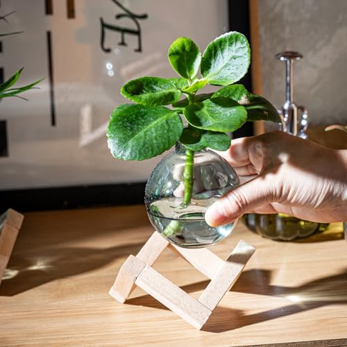Plant Propagation Station, Plant Terrarium with Wooden Stand for Hydroponic Plant Propagation, Propagation Vases for Plants, Green Glass Bulb Vases for Home Office Decor (2)