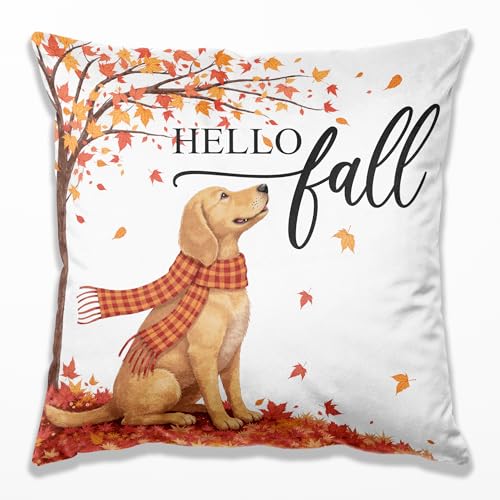 Hello Fall Dog Pillow Covers 18x18, Farmhouse Autumn Decor,Fall Autumn Maple Leaves Decorative Throw Pillow Covers for Home Bedroom Living Room,Dog Lover Gifts - color: 04 Color