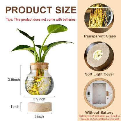 Propagation Stations, Plant Propagation Station with Light Base, Glass Propagation Vases, Hydroponic Vase for Plants, Glass Terrarium for Home Office Windowsill Tabletop Decoration (2)