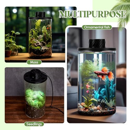 Glass Plant Terrarium Kit with LED Grow Light, Desk Terrarium for Venus Fly Trap, Succulents, Moss & Miniature Garden, Borosilicate Glass Desktop Planter for Home Office(7.9 x 3.9 Inch) - size: 7.9 x 3.9 Inch