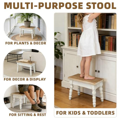 Farmhouse Solid Wood Plant Stand Indoor, Rectangular Wooden Plant Stool & Flower Pot Riser for Small Medium Pots, Rustic Tabletop Succulent Holder for Living Room, Patio Decor