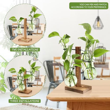 Plants Propagation Stations Bulb Glass Propagation Birthday Gift for Women | Garden Plant Lovers - 4 Bulb - color: Green